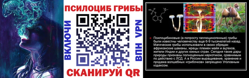 Галлюциногенные грибы мухоморы Губкин